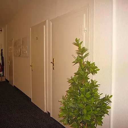 Szálloda Deutsches Haus Munster 3*